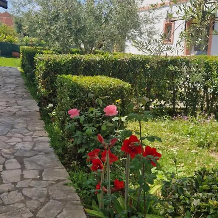 Corfu 4u